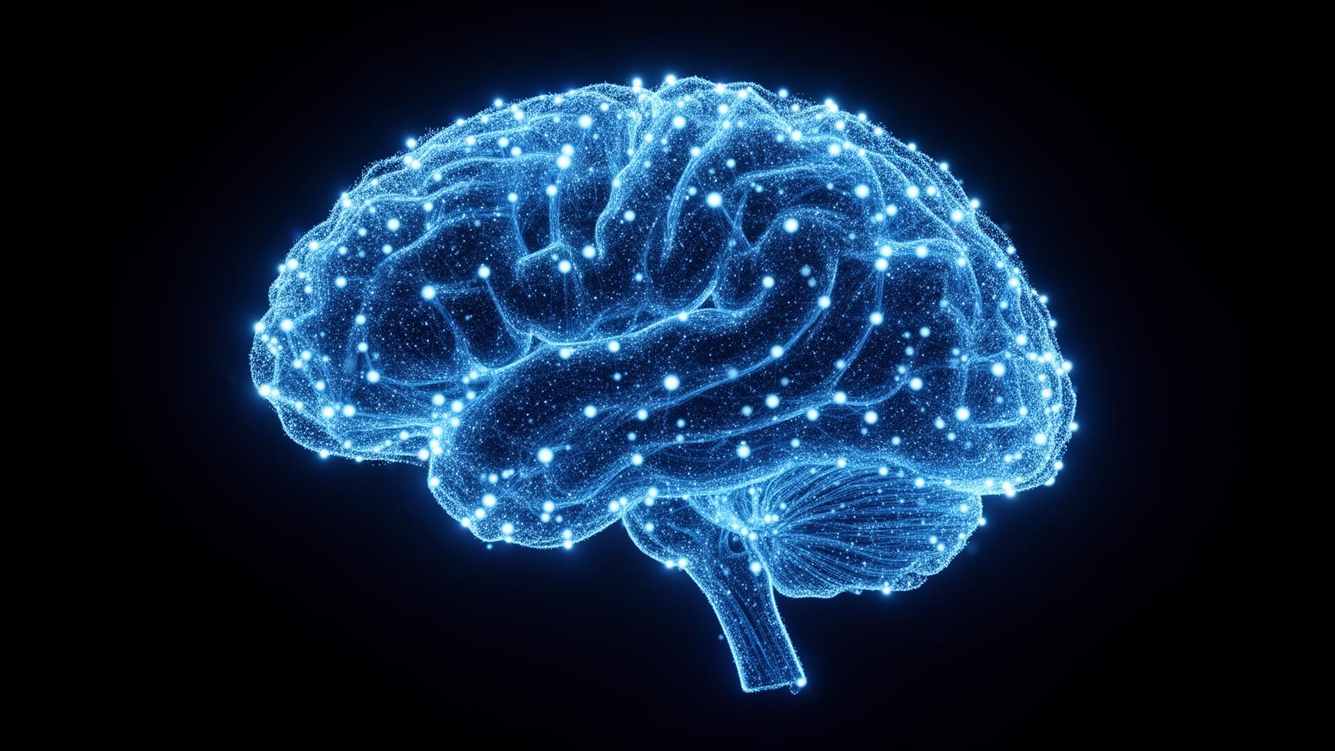 STK Cortex™ AI